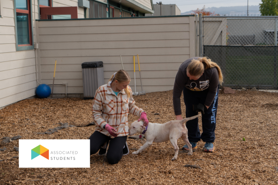 Students helping at dog shelter