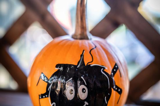Pumpkin