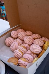 Culture and Conchas