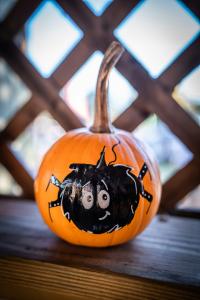 Pumpkin